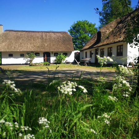 Gemuetliches Reetdachhaus Mit Kaminofen Hostel Ribe Exterior photo